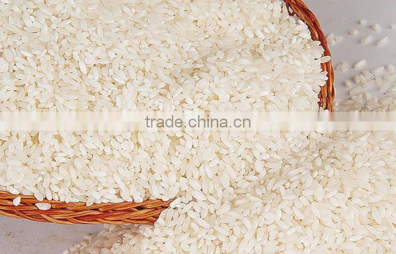 automatic rice mill machine/rice mill machine/rice mill machinery