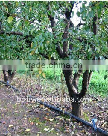 flat emitter Drip tape with ISO9001