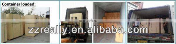 RE303 Small Instant Powder Coffee Vending Machine with CE appproved