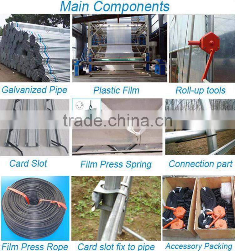 Simple frame Single-Span Greenhouses agriculture agriculture related products