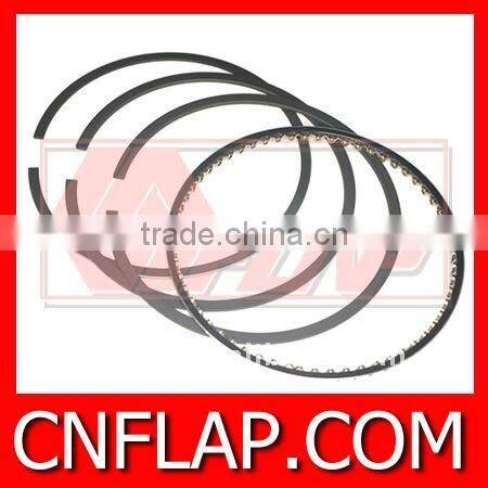 Promotion! IZUMI piston ring