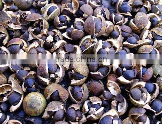 factory supplied automatic peanut sheller machine