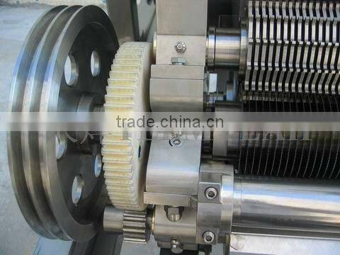 TW-1000NS 2-way Multi Function Food Dicer machine(Video)