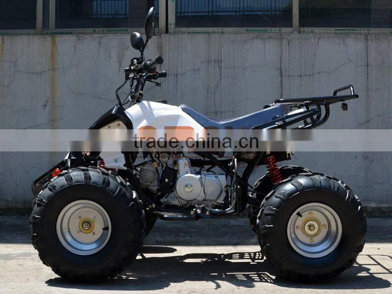 Mini Kids Gas Powered ATV 50cc