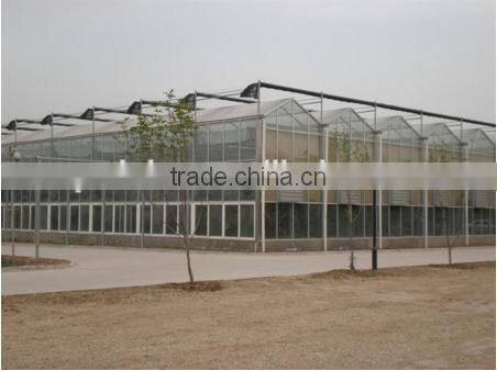cheap price Used Commercial Galvanized Steel Greenhouse Frames For Sale
