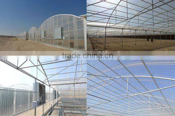 Polycarbonate sheet (Valuview ROMA)