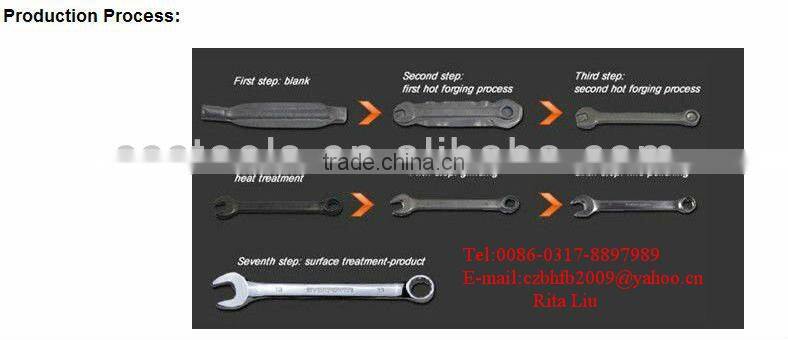 special tools, carbon steel tools, ring wrench for extension,power tools,ISO9001 2000&UKAS Spanner