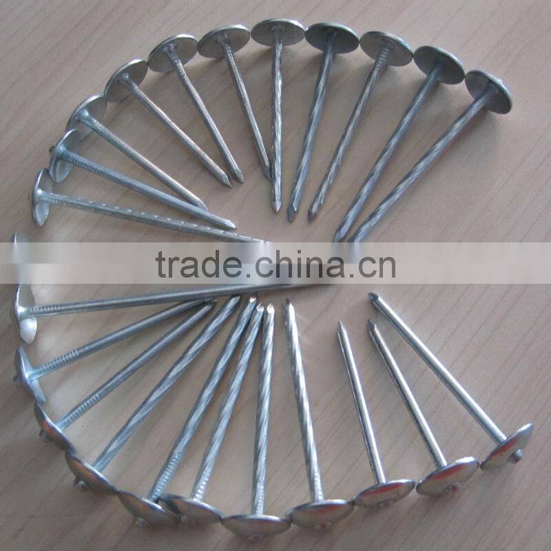 Low Price Galvanized Roofing Nails With Washer In Guangzhou Supplier