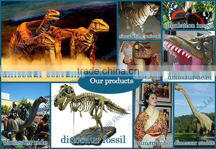 JLDF-G-0019 Life Size Museum Quality Dog Skeleton