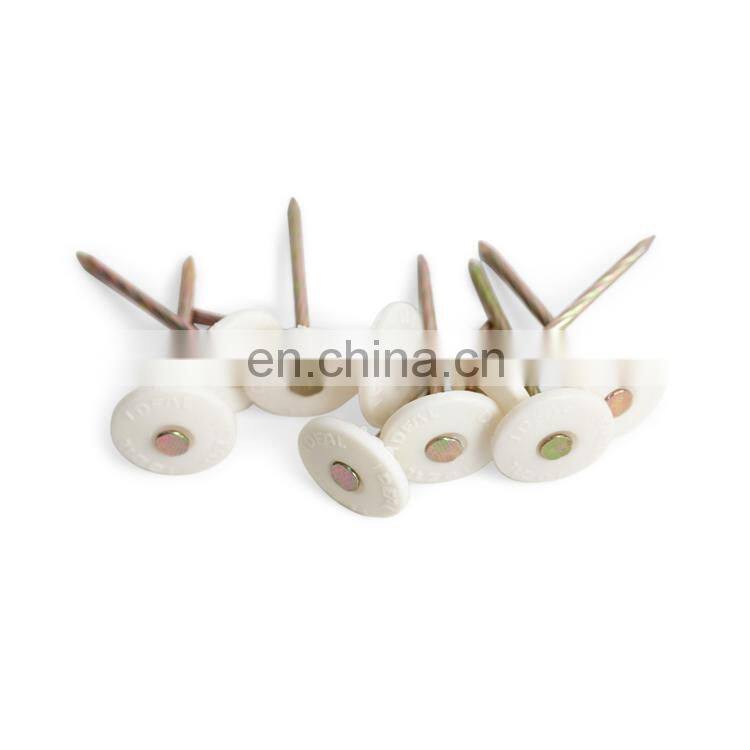 Plastic Cap Umbrella Head Roofing Nails Stainless Steel Nails With Plastic Head