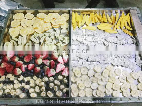Suitable for economical and practical freeze dryer or drying equipment for medicine fruits and vegetables