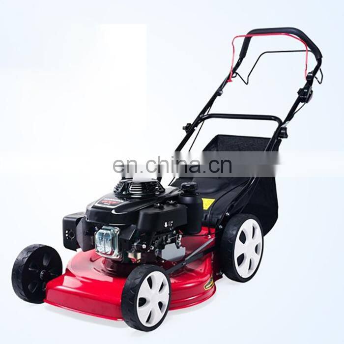 Economic Petrol Powered Hand Push Gasoline Lawnmower Rotary Mower