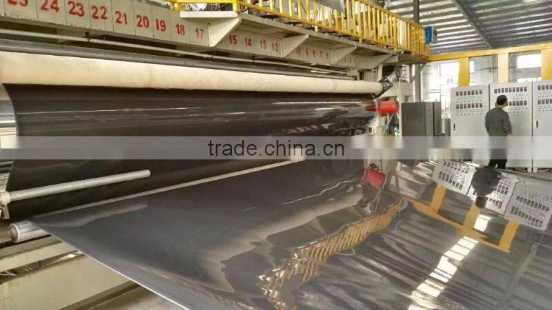 HDPE Geomembrane liner price ASTM standard