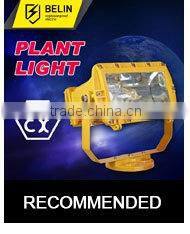 1000W Halogen Floodlight