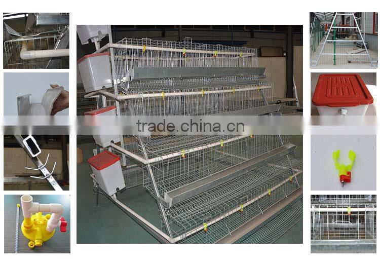 China factory commercial chicken use automatic hen layer cage for chickens