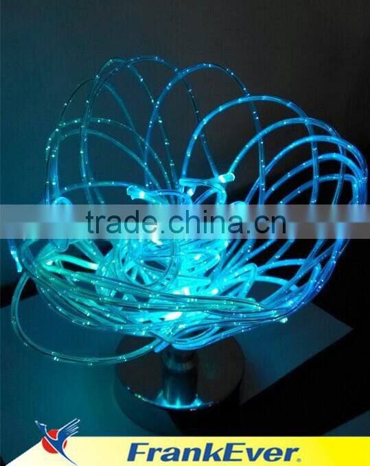 Frankever fiber optic home light led fiber optic lighting