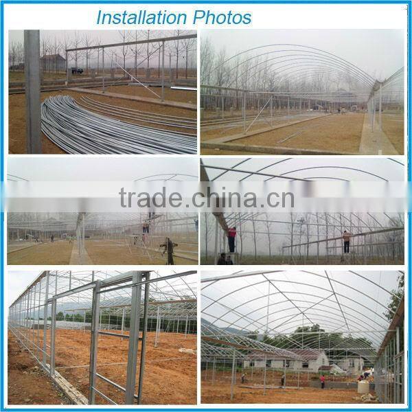 Factory price of agricultural greenhouse,multi span greenhouse for Tomato