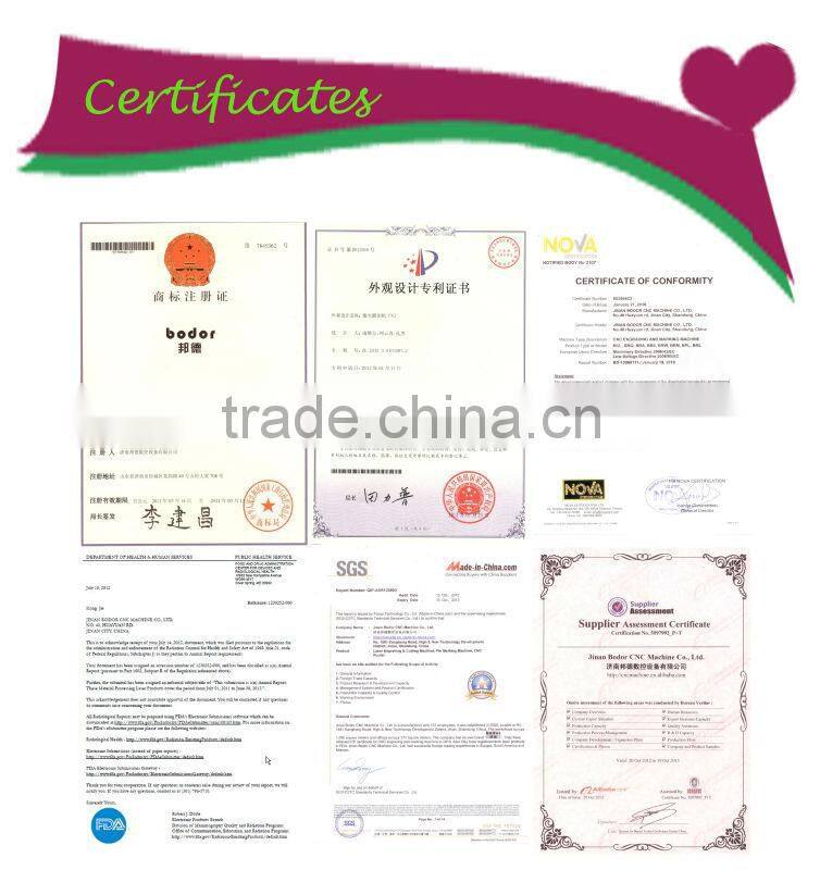 china jinan famous brand 500w 1000w 2000w fiber