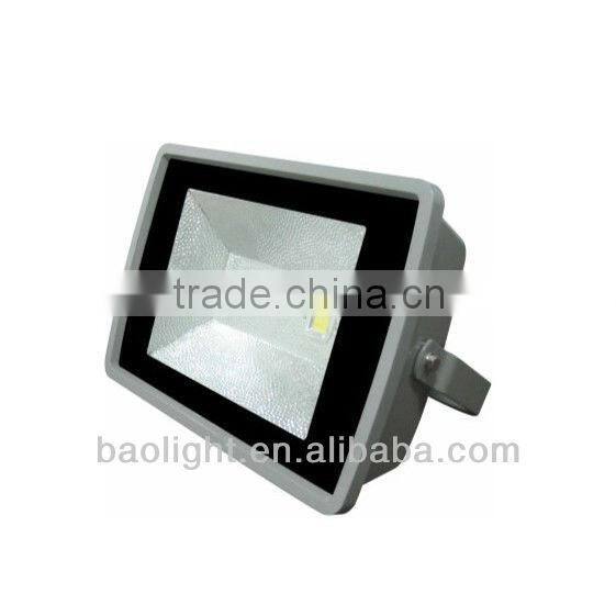 Ebay China IP65 100W Explosion Proof LED Floodlight 120V/220V