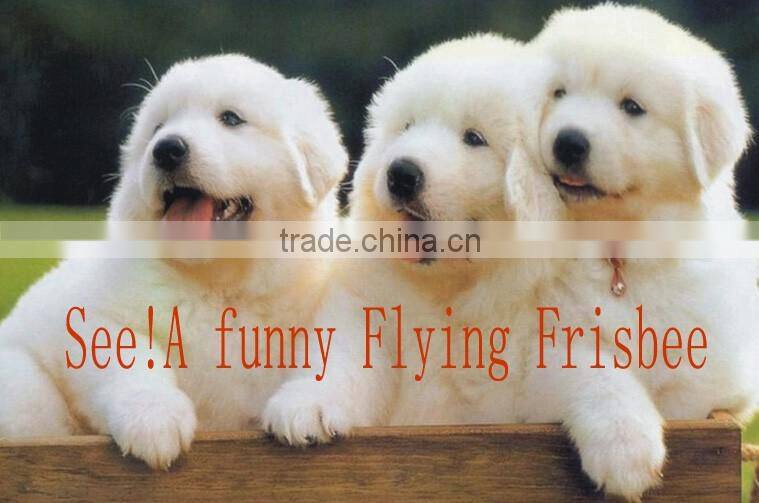 UFO frisbee disk Children flying disc for dog