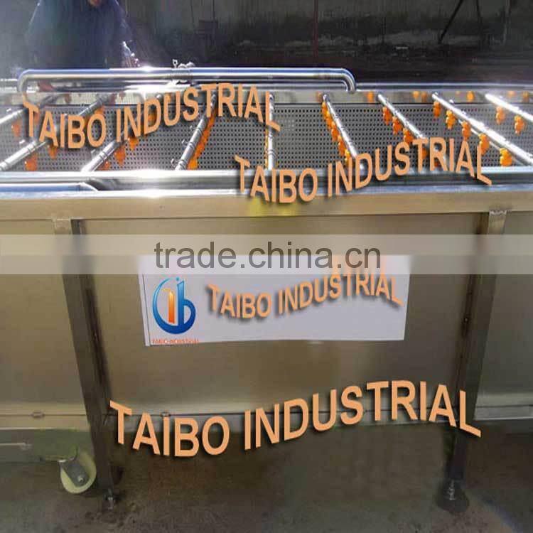 food machinery manufacturer washer type apple washing equipment