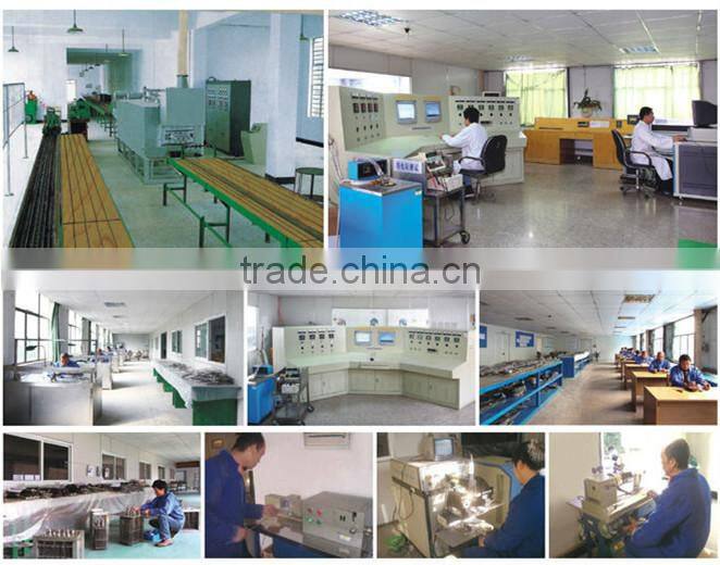 B Type High Pt100 Temperature Sensor Cable for Probe for Industry