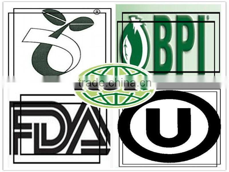 Biodegradable Compostable bento box