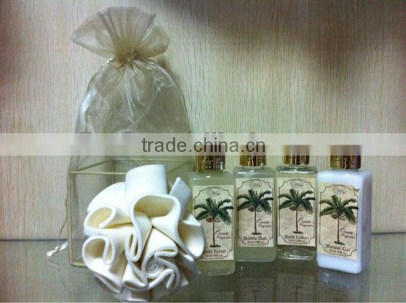 Hot skincare bridal gift set