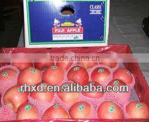 clear pack fuji apples