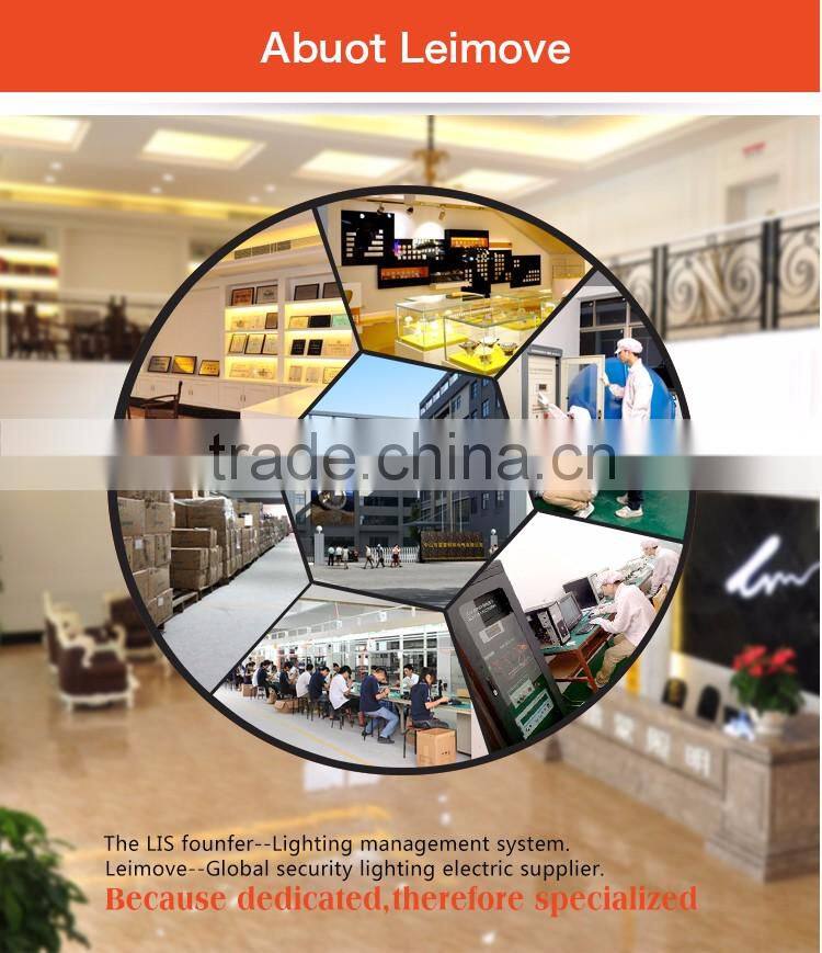 2015 new design modern decorative ceiling light