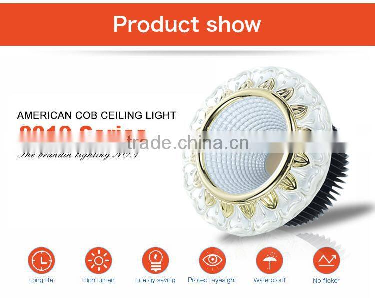 ac85-265v 10w ceiling lamp