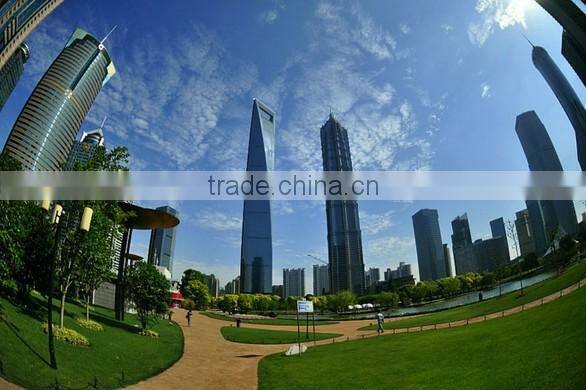 H8002 circle fisheye lens for smartphone