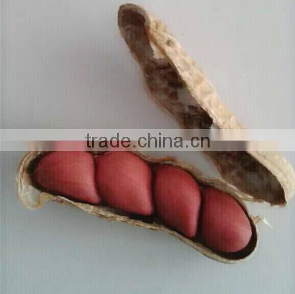 2015 crop Chinese red skin peanuts 50/60 40/50 , good quality with no aflatoxin