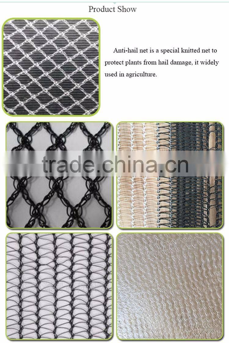 Fast Delivery Best Selling Hot Sales Anti-Hail Net