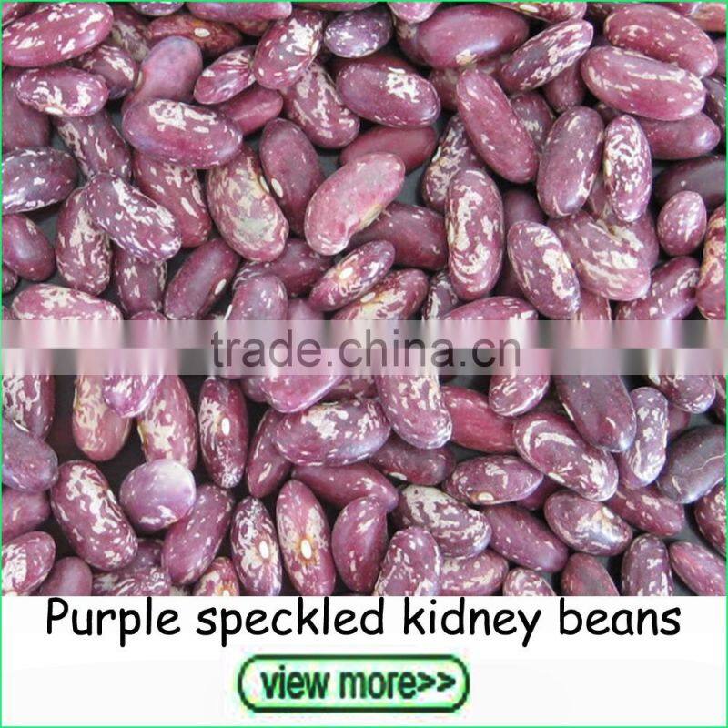 Export Grade Shine Skin Pumpkin Seeds in Bulk