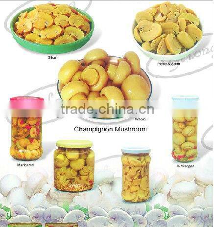 Canned Whole Button Mushroom