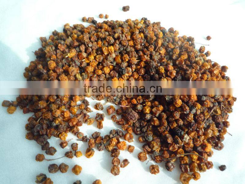 Dried wild red sorbus fruit