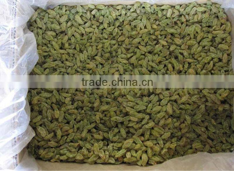 Thompson seedless green raisin