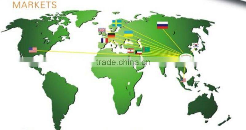 competitive price delicious fresh material sardines fish canned in tomato sauce