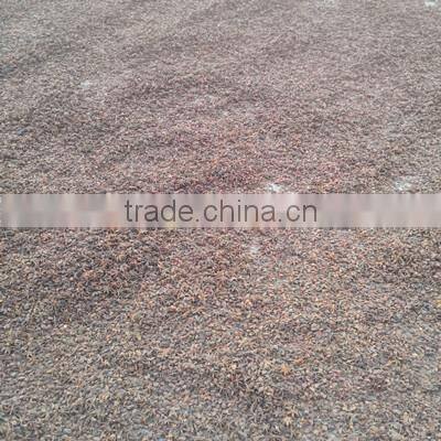 Common Quality Low Offer Star Anise