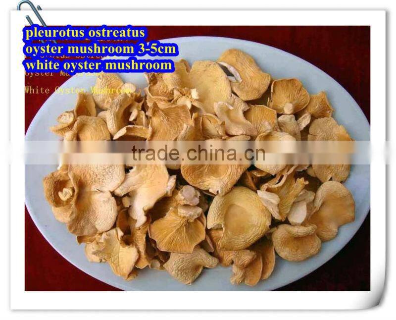 Dried pleurotus ostreatus