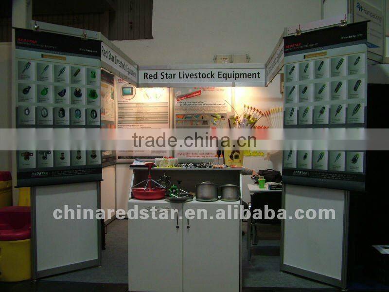 Vinyl Examination Gloves