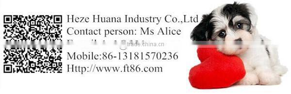 Ornamental plastic animal horn products on sheep