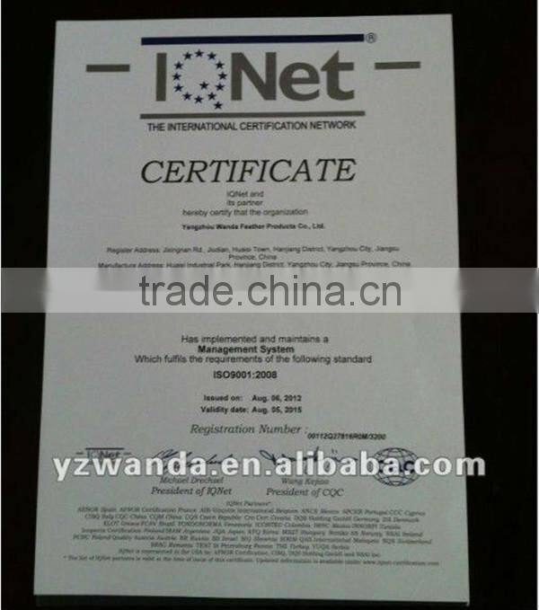 Wholesale winter soft feather and down duvet luxury home textile yangzhou wanda