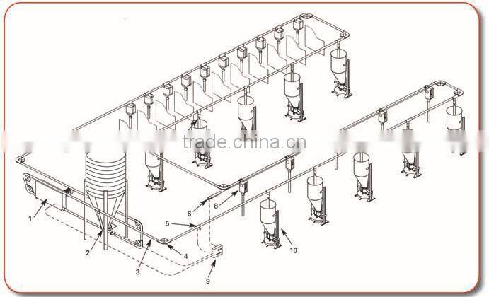 pig feeding system