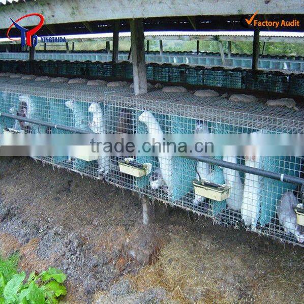 the latest mink cage factory price
