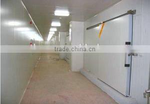 Freezer Room for Frozen Meat Chicken Fish