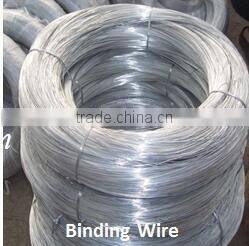Pakistan high quality polished iron common wire nails for building(Guangzhou Factory)