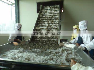 Seafood processing line for fish shrimp,crab,squid,Octopus,Cuttlefish