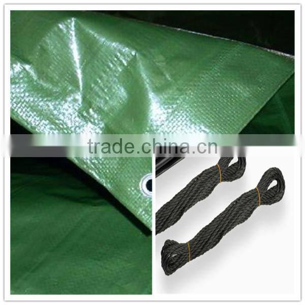 PE Leno design 3x3 Scaffolding Tarp